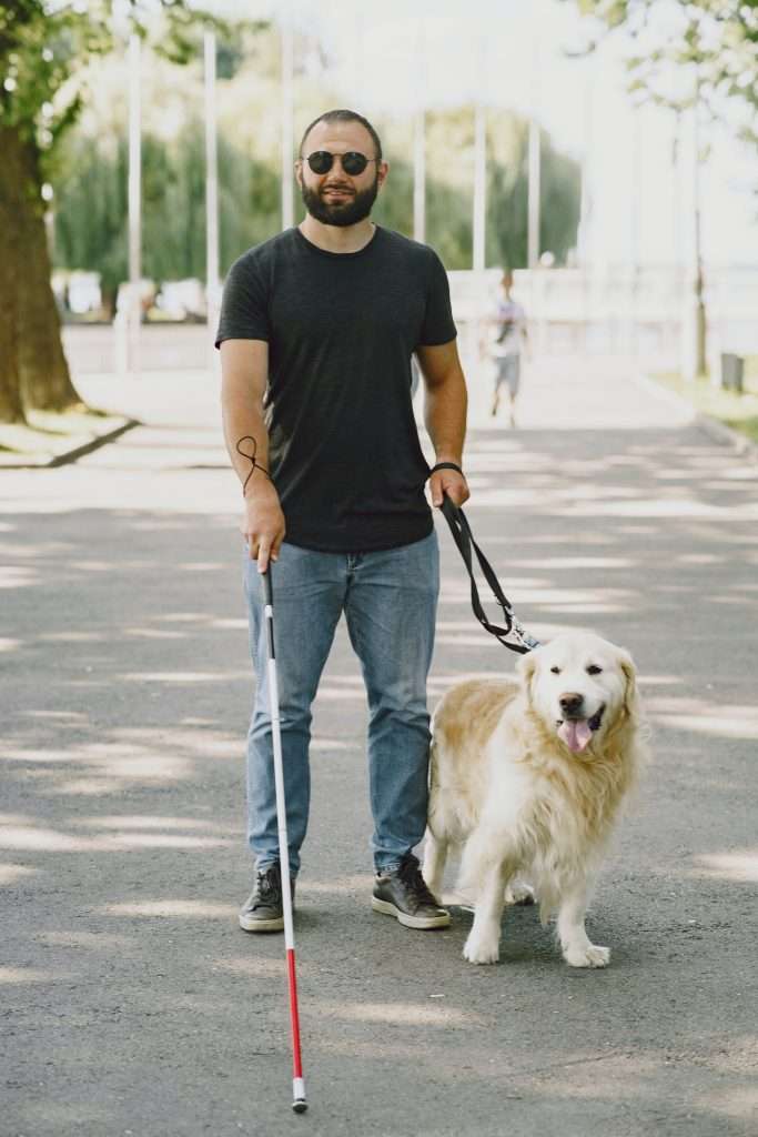 Man walking with seeing eye dog and cane